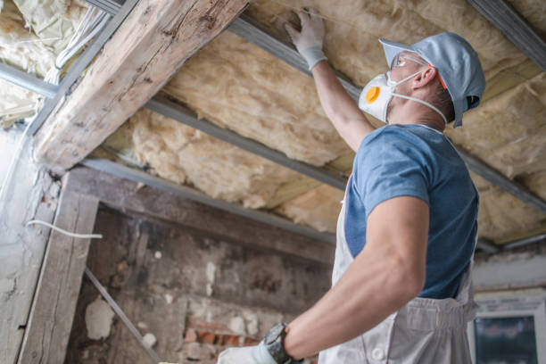 Best Energy Efficiency Solutions in Five Forks, SC